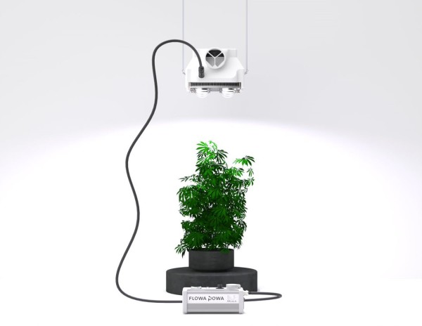 Growbox Komplettset - Beleuchtung, Lüftung, Aktivkohlefilter in einem (FlowaOne)